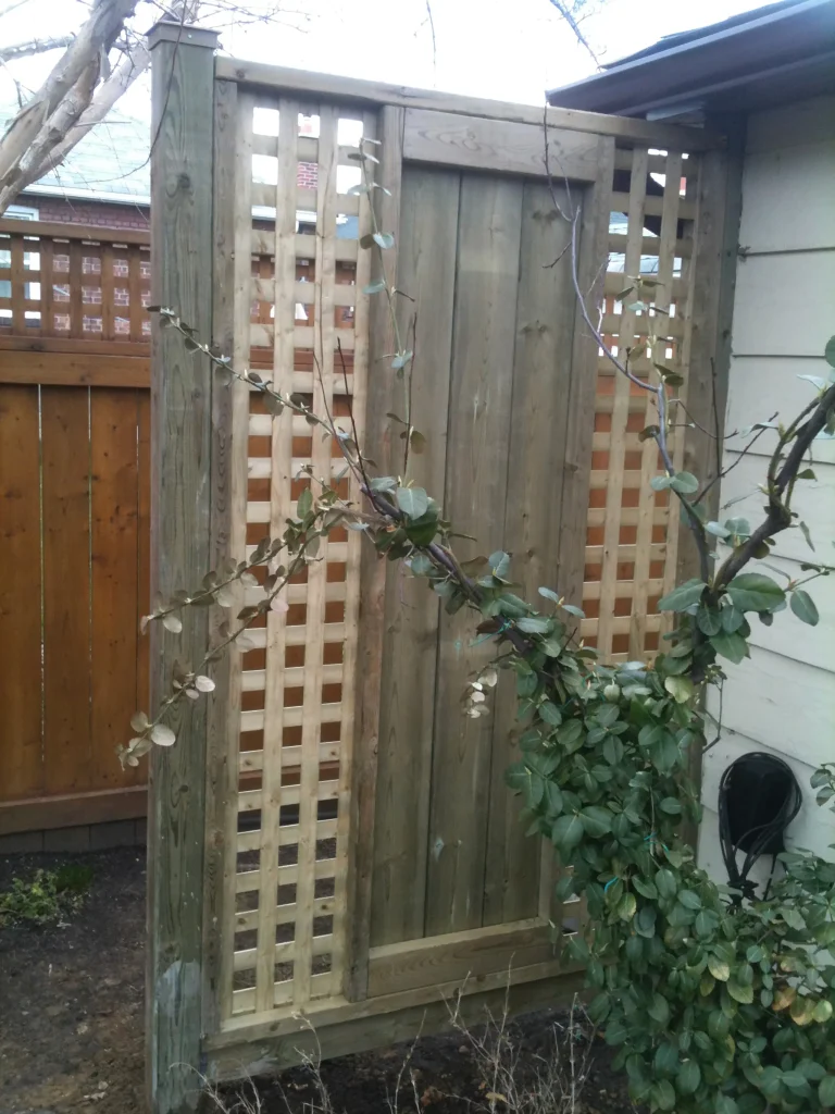 Privacy Screens 051